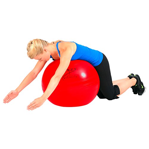 Artzt Vitality Fitness-Ball Professional, Ø 75 cm, Blau *ANGEBOT*