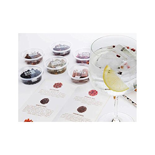 Kit Gin tonic Bragulat para aromatizar tu cóctel: con 8 Botánicos, una cuchara trenzada y una guía de Gin Tonics